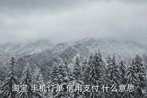 淘寶 手機(jī)訂單 信用支付 什么意思
