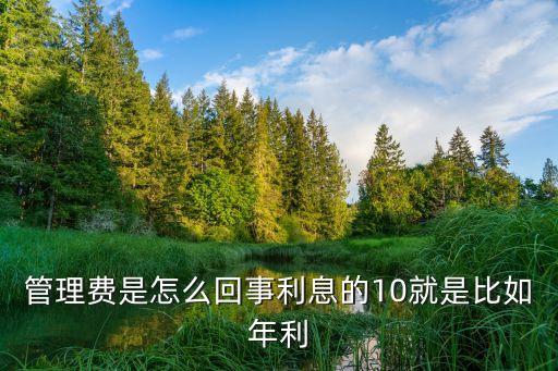 管理費是怎么回事利息的10就是比如年利