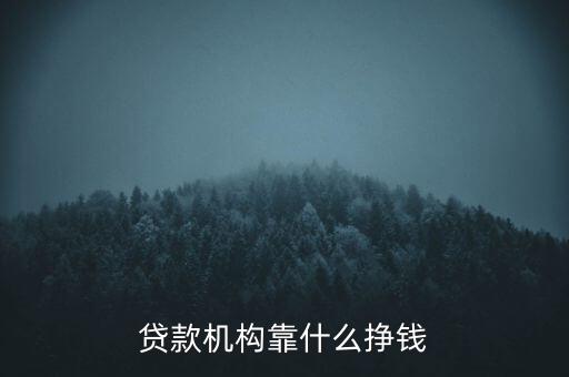 貸款機(jī)構(gòu)靠什么掙錢