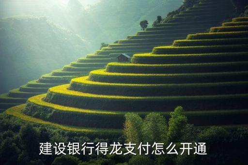 建設(shè)銀行得龍支付怎么開通