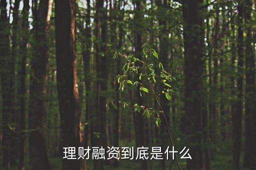理財(cái)融資到底是什么
