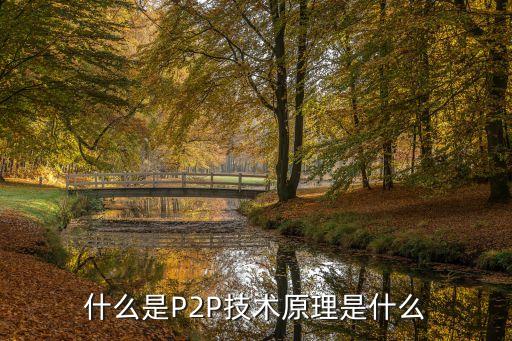 p2p是什么，有誰(shuí)知道P2P是什么意思