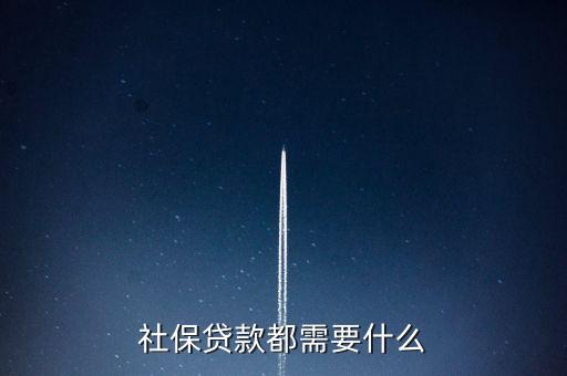 社保車貸要什么資料嗎，車貸需要哪些資料
