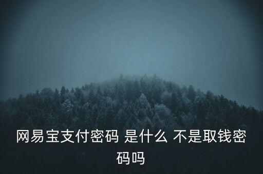 網(wǎng)易支付的支付密碼是什么意思，網(wǎng)易寶支付密碼 是什么 不是取錢密碼嗎