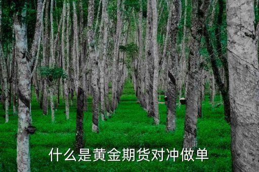 什么是黃金對(duì)沖，黃金公司對(duì)沖是什么意思