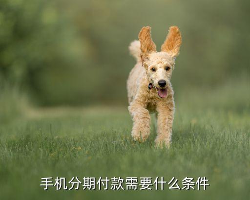 分期付款買手機(jī)需要什么條件，手機(jī)分期付款需要什么條件