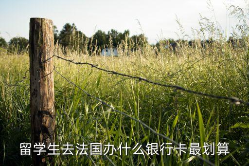 留學(xué)生去法國(guó)辦什么銀行卡最劃算