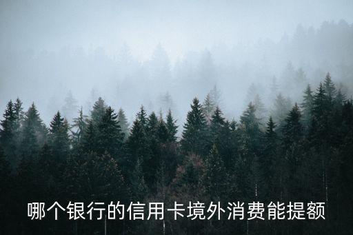 哪個(gè)銀行的信用卡境外消費(fèi)能提額