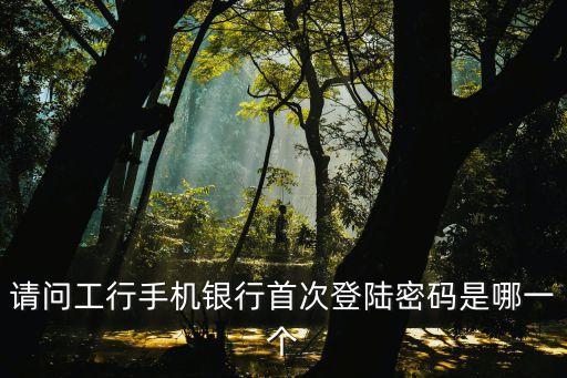 請問工行手機(jī)銀行首次登陸密碼是哪一個(gè)