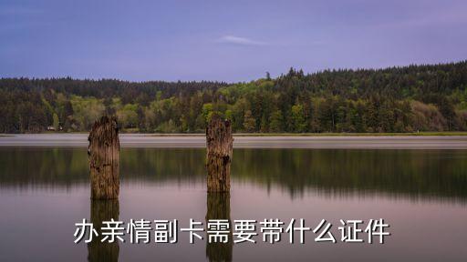 辦信用卡副卡需要什么，辦親情副卡需要帶什么證件