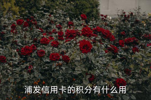 浦發(fā)信用卡的積分有什么用