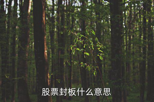股票封板什么意思