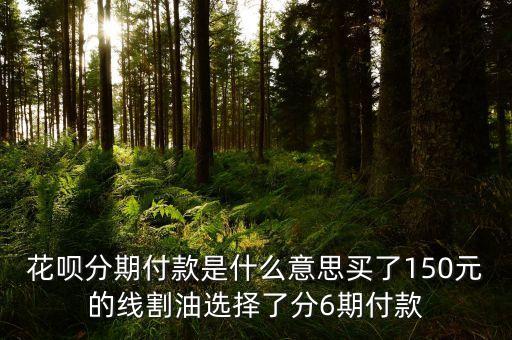 花唄分期付款什么意思，什么叫花唄分期付款
