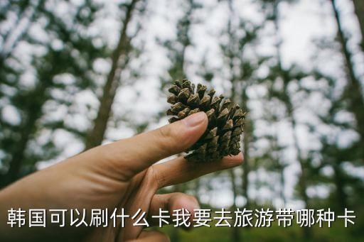 韓國支持什么信用卡，韓國可以刷什么卡我要去旅游帶哪種卡