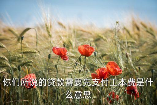 你們所說的貸款需要先支付工本費(fèi)是什么意思