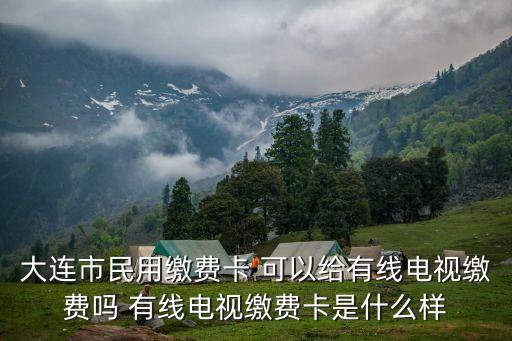大連市民用繳費(fèi)卡 可以給有線電視繳費(fèi)嗎 有線電視繳費(fèi)卡是什么樣