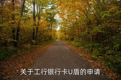 關(guān)于工行銀行卡U盾的申請(qǐng)