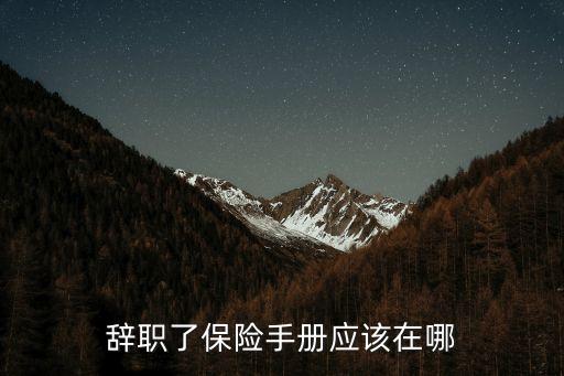 辭職了保險(xiǎn)手冊(cè)應(yīng)該在哪