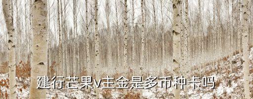 建行芒果v主金是多幣種卡嗎