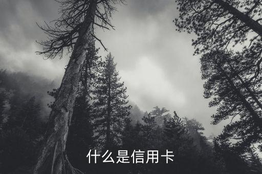 什么是信用卡