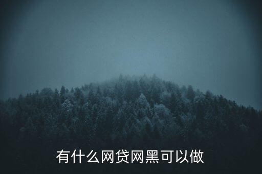 有什么網(wǎng)貸網(wǎng)黑可以做