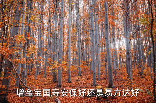 易方達增金寶是什么，易方達增金寶貨幣和e錢包哪個收益高