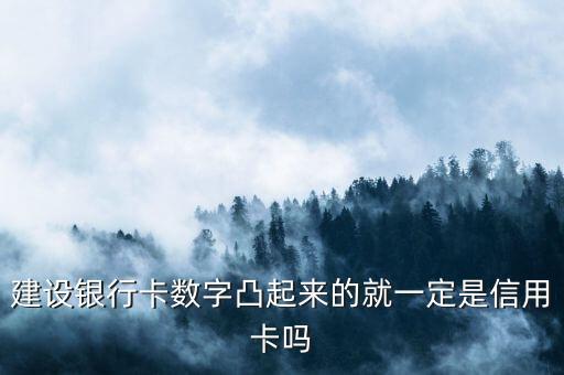 建行儲蓄卡上面數(shù)字是什么卡，建行卡十六位數(shù)是什么卡