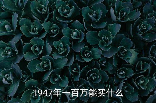 1947年一百萬能買什么