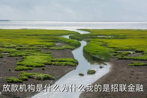 放款機(jī)構(gòu)是什么為什么我的是招聯(lián)金融