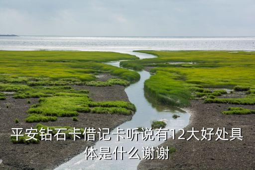 平安鉆石卡借記卡聽說有12大好處具體是什么謝謝