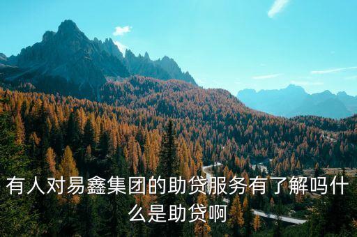 有人對易鑫集團的助貸服務(wù)有了解嗎什么是助貸啊