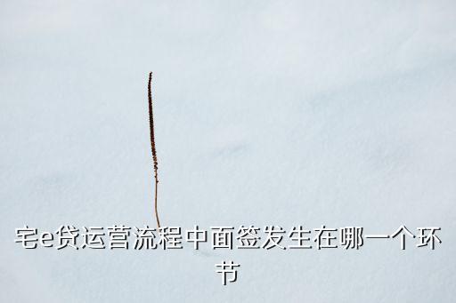 平安宅e貸面簽都有什么，宅e貸運營流程中面簽發(fā)生在哪一個環(huán)節(jié)