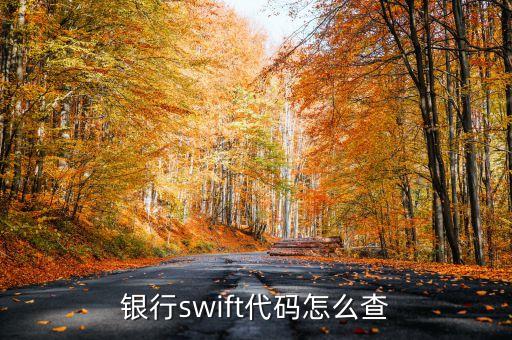 銀行swift代碼怎么查