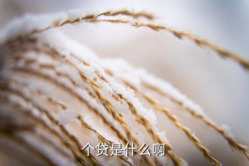 個貸是什么啊