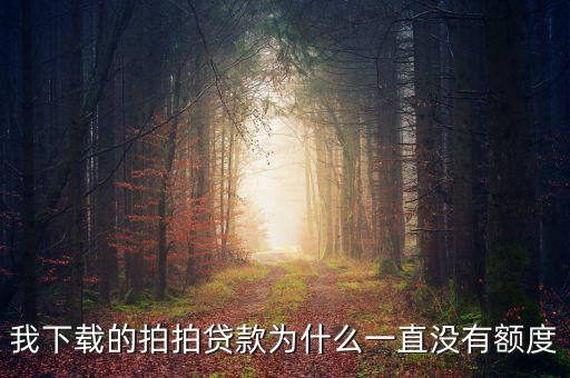我下載的拍拍貸款為什么一直沒有額度