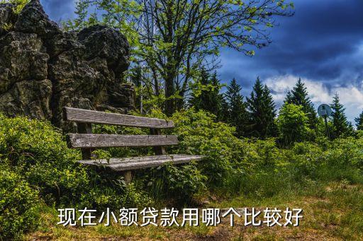 現(xiàn)在小額貸款用哪個比較好