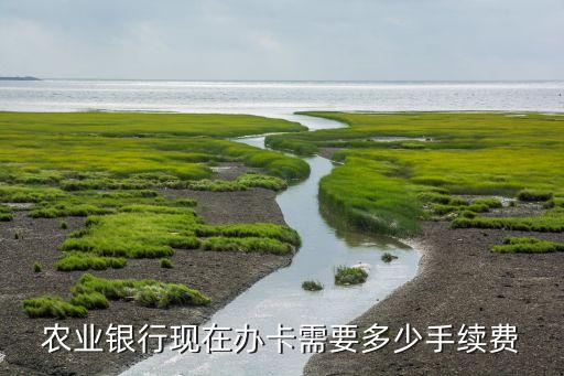農(nóng)業(yè)銀行開(kāi)卡怎么收費(fèi)，辦張農(nóng)行卡 開(kāi)戶需要多少錢(qián)謝謝