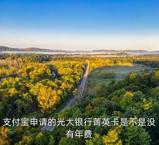 支付寶申請(qǐng)的光大銀行菁英卡是不是沒(méi)有年費(fèi)