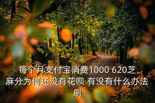 什么能刷花唄，POS機(jī)如何刷花唄