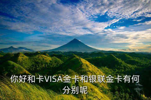 你好和卡VISA金卡和銀聯(lián)金卡有何分別呢