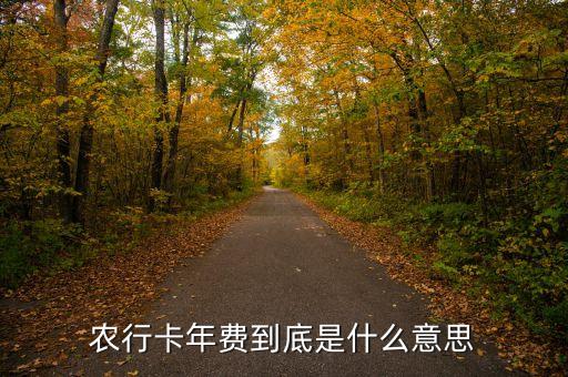 農(nóng)行卡年費到底是什么意思