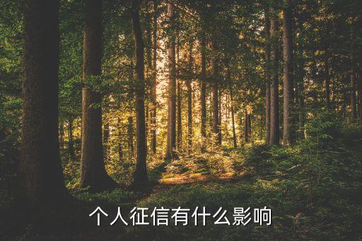 個(gè)人征信有什么影響