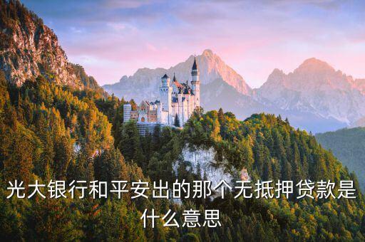 光大信用卡貸款叫什么意思，什么叫做信用貸款
