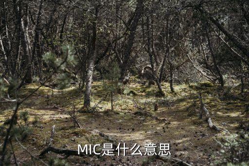 宜信mic是什么意思，MIC是什么意思