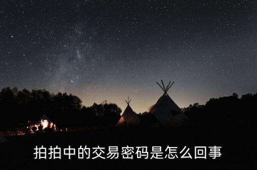 為什么我的拍拍一直交易密碼管理，拍拍中的交易密碼是怎么回事