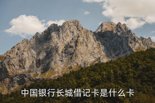 中國銀行長城借記卡是什么卡