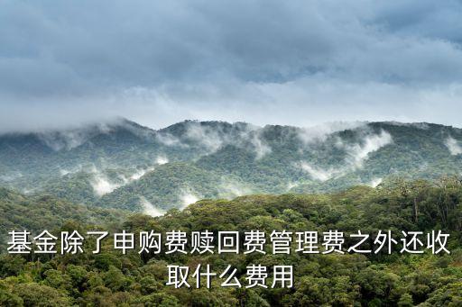基金除了申購費(fèi)贖回費(fèi)管理費(fèi)之外還收取什么費(fèi)用
