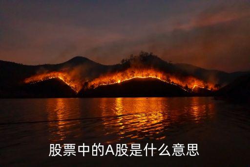 股票a股是什么意思，請問股票中的A股是什么意思怎樣的稱為A股呢