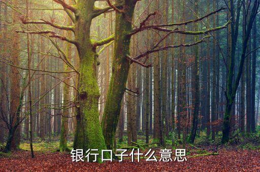 銀行口子什么意思