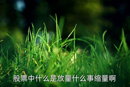 股票中什么是放量什么事縮量啊